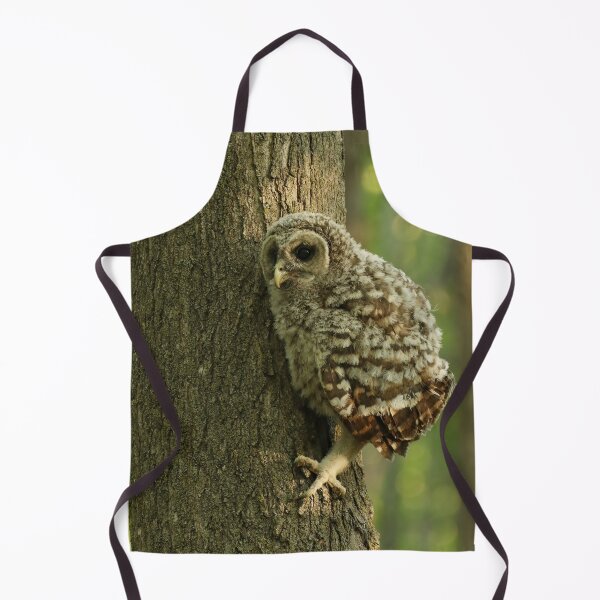 Item preview, baby owls climb trees designed and sold by locustgirl.