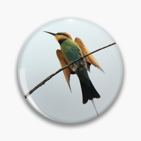 Item preview, Rainbow Bee-Eater perched on a branch designed and sold by BirdsAlive.