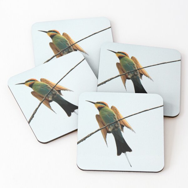 Item preview, Rainbow Bee-Eater perched on a branch designed and sold by BirdsAlive.