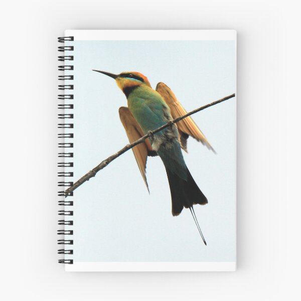 Item preview, Abejaruco arcoiris posado en una rama designed and sold by BirdsAlive.