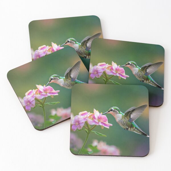 Item preview, Hummingbird  designed and sold by Savannah Gibbs.
