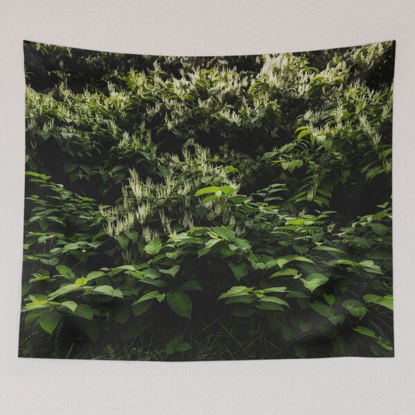 Item preview, Touch Me Not designed and sold by Steve Walser.
