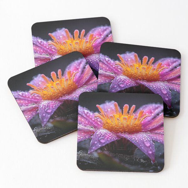 Item preview, Selenicereus Grandiflorus designed and sold by DigiCre8.