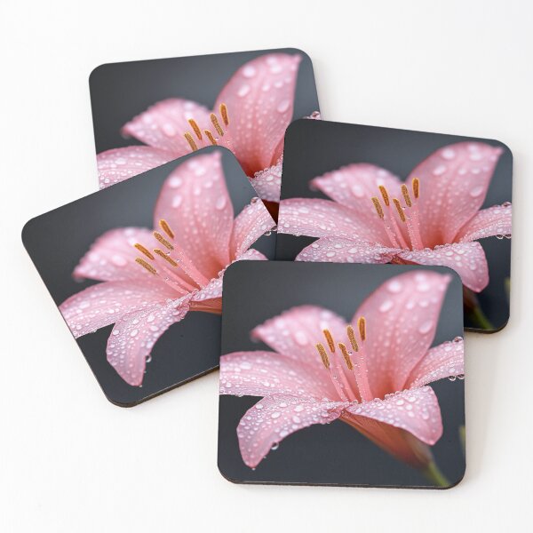 Item preview, Fire Lily designed and sold by DigiCre8.