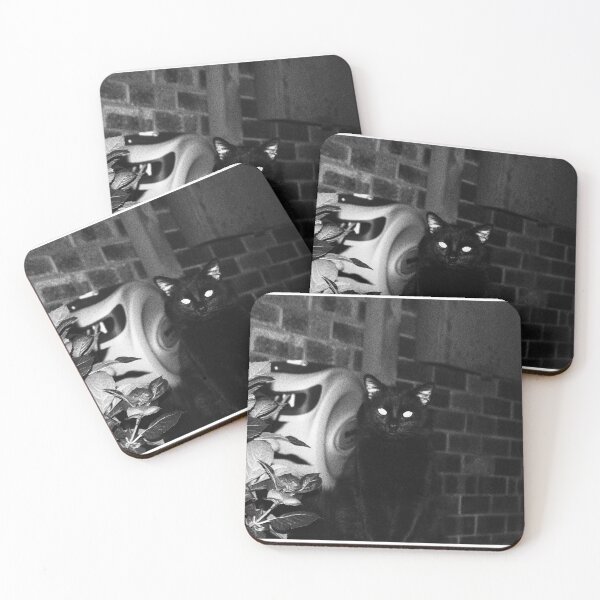 Item preview, Black cat noir photograph designed and sold by crzyspacecowgrl.