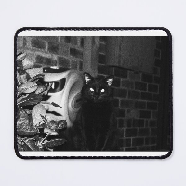 Item preview, Black cat noir photograph designed and sold by crzyspacecowgrl.