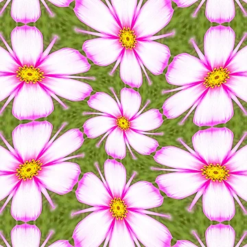 Artwork thumbnail, Cosmos Flowers Pattern by Patternflower