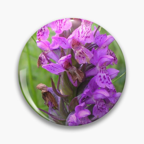 Item preview, Heath Spotted Orchid At Culloden designed and sold by lezvee.