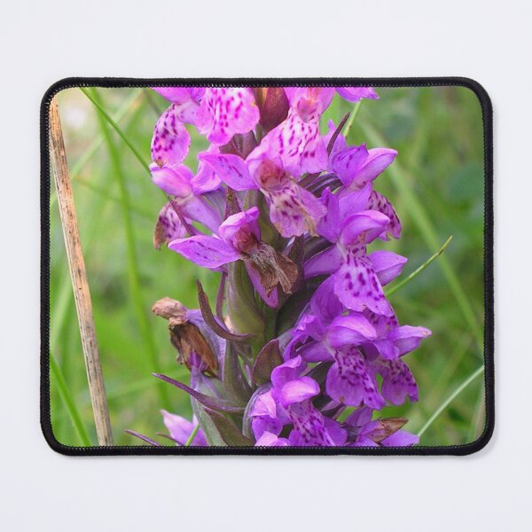Item preview, Heath Spotted Orchid At Culloden designed and sold by lezvee.