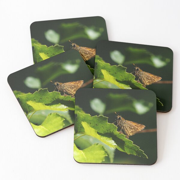 Item preview, Majestic Skipper Butterfly in Natural Habitat - Nature Photography designed and sold by MendipBlue.