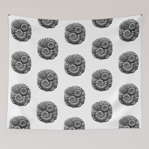 Item preview, Ammonite Fossils and Flowers Jurassic Geologists Fossil designed and sold by nicksuefonze.