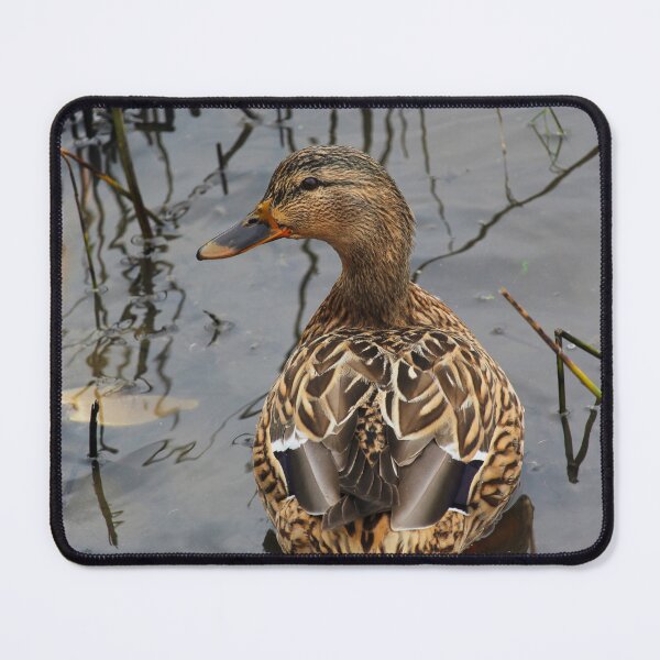 Item preview, Mallard Duck Inch Island Vertical designed and sold by eddiebarronshop.