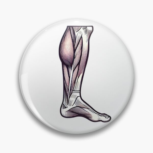 Item preview, Calf Muscle  designed and sold by simon5711.