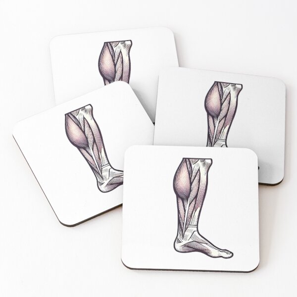 Item preview, Calf Muscle  designed and sold by simon5711.