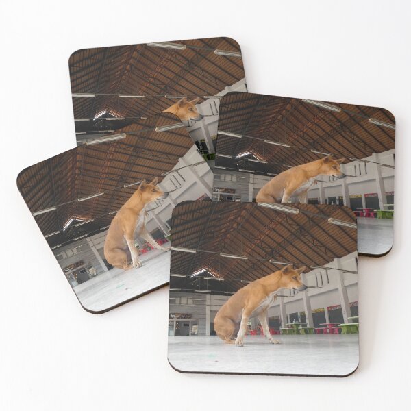 Item preview, Old dog at the Foodhall, Thailand designed and sold by JonDelorme.