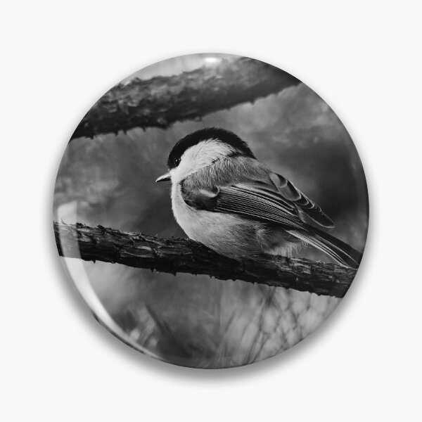 Item preview, Absend minded. Willow tit bw designed and sold by Jouko Lehto Photography.