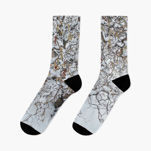 Item preview, Winter Time: Hazel Tree 'Contorta' Elegance designed and sold by Eva Studená Photography.