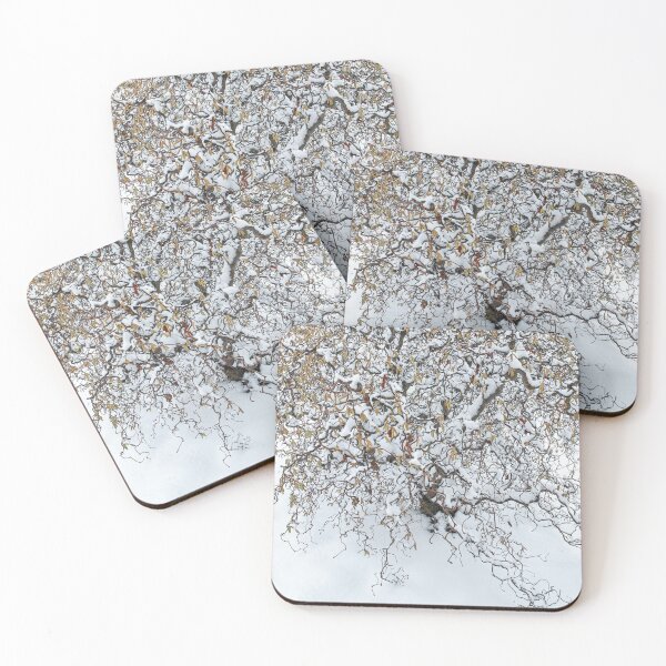 Item preview, Winter Time: Hazel Tree 'Contorta' Elegance designed and sold by Eva Studená Photography.