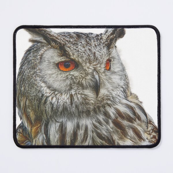 Item preview, Eagle Owl designed and sold by MendipBlue.