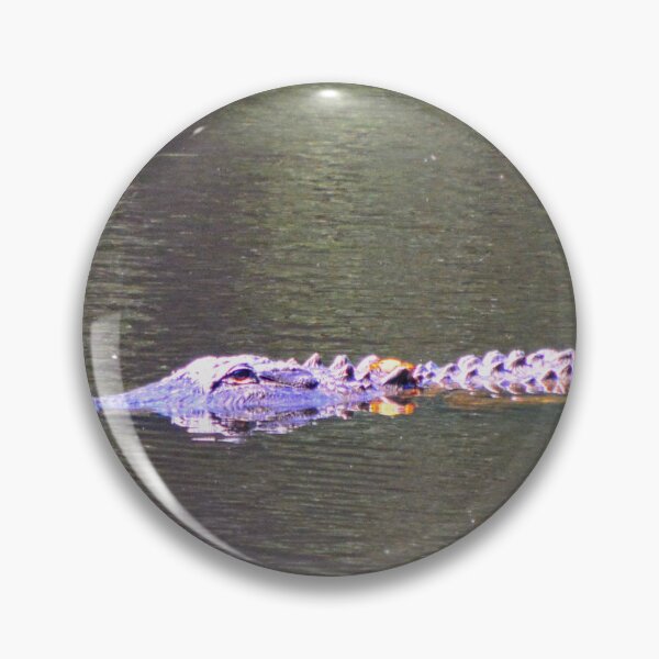 Artikelvorschau, Alligator Panorama entworfen und verkauft von LisaWootenPhoto.
