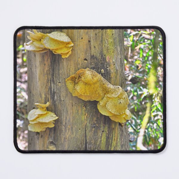 Item preview, Fungi Clinging To A Tree designed and sold by LisaWootenPhoto.