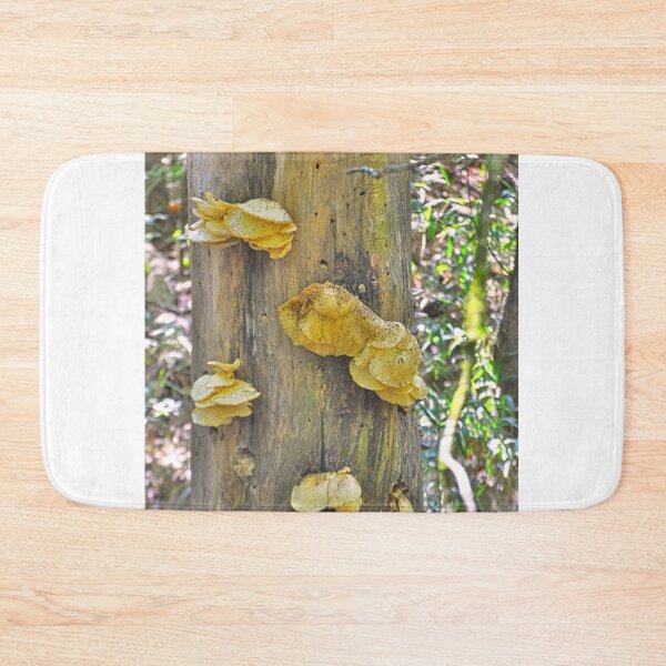 Item preview, Fungi Clinging To A Tree designed and sold by LisaWootenPhoto.