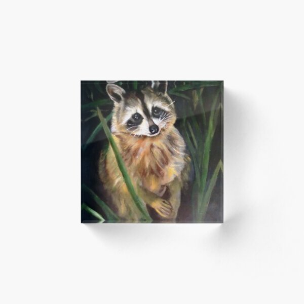 raccoon Acrylic Block