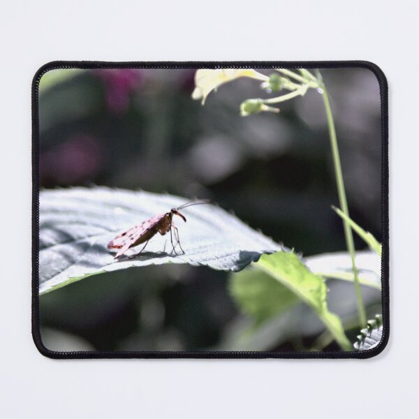 Item preview, Frozen reality - Beautiful nature 81 designed and sold by deep-sea-birds.