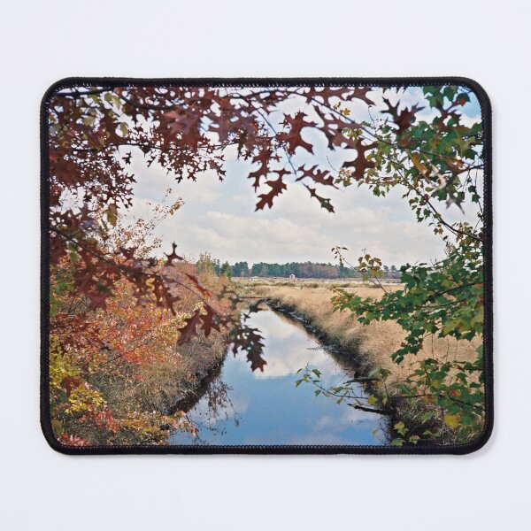 Item preview, Pine Barrens designed and sold by NatureWaltzArts.