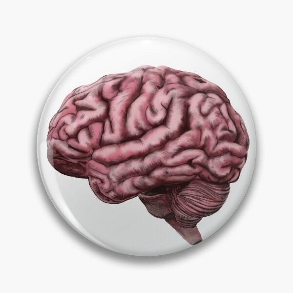 Item preview, Human Brain designed and sold by oz10.