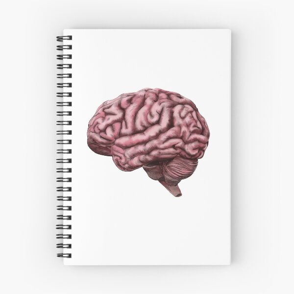 Item preview, Human Brain designed and sold by oz10.