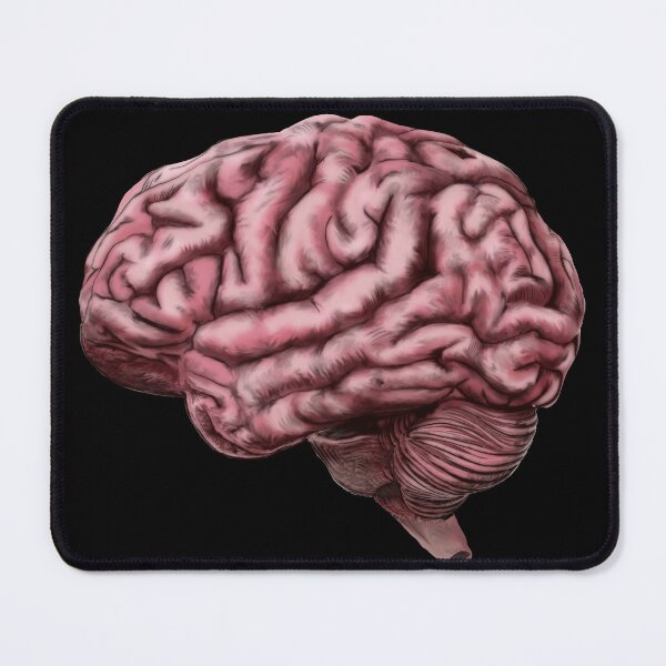 Item preview, Human Brain designed and sold by oz10.
