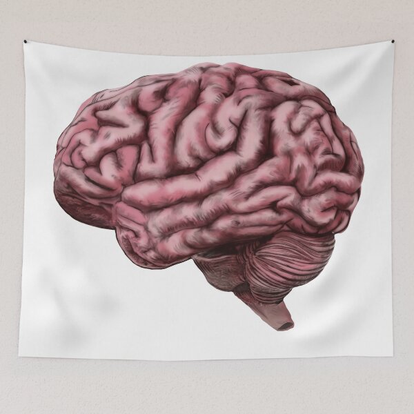 Item preview, Human Brain designed and sold by oz10.