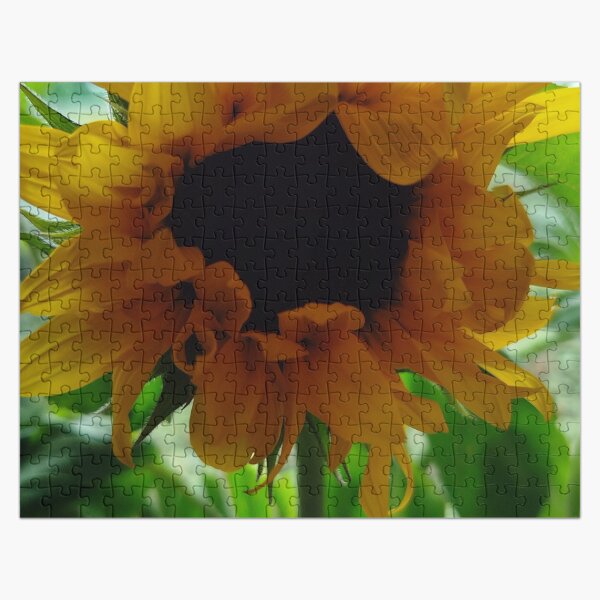 Artikel-Vorschau von Sonnenblume, designt und verkauft von Zlatko1.