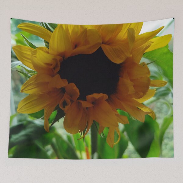 Artikelvorschau, Sonnenblume entworfen und verkauft von Dreammkd.