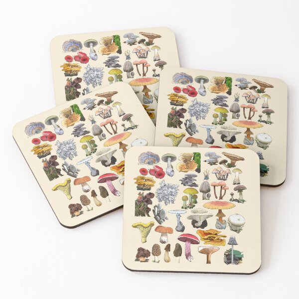 Item preview, Mushrooms of the Mid-Atlantic Vintage Botanical Illustration designed and sold by Cherie Brunetti.