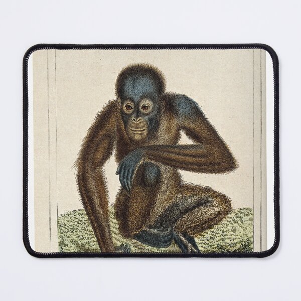 Item preview, Orangutan designed and sold by Zoozwear Apparel.