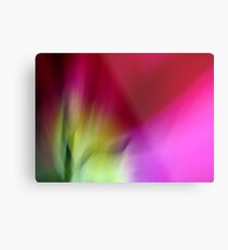 Tulip Sunrise Metal Print