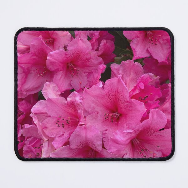 Item preview, Pink Rhododendron Flowers designed and sold by Paul Morse.