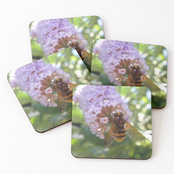 Item preview, Hoverfly and Buddleia Flowers Photograph designed and sold by naturegallery.