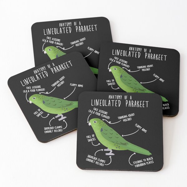 Item preview, Green Lineolated Parakeet Parrot Anatomy designed and sold by Clara Hollins.