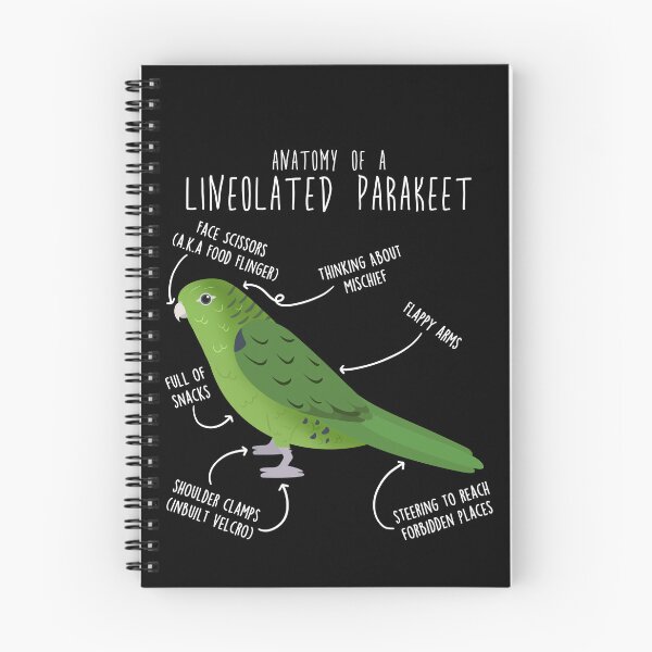 Item preview, Green Lineolated Parakeet Parrot Anatomy designed and sold by Clara Hollins.