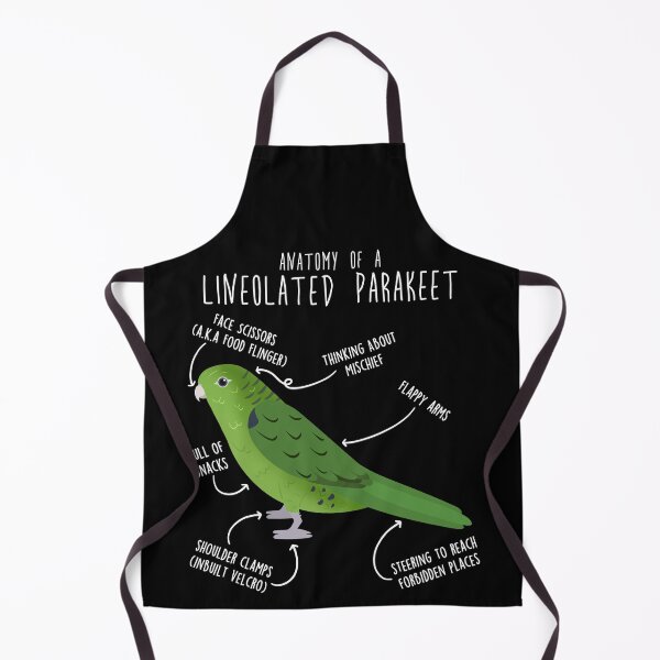 Item preview, Green Lineolated Parakeet Parrot Anatomy designed and sold by Clara Hollins.