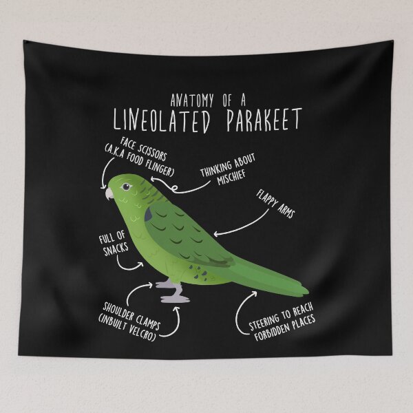 Item preview, Green Lineolated Parakeet Parrot Anatomy designed and sold by Clara Hollins.