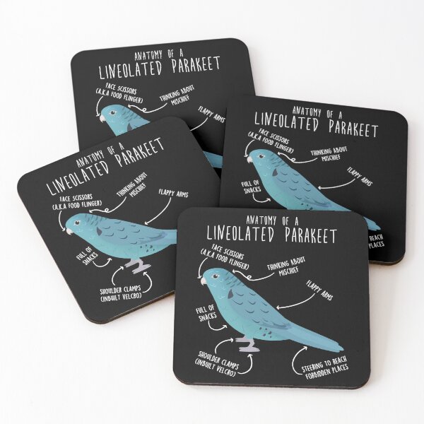 Item preview, Blue Lineolated Parakeet Turquoise Parrot Anatomy designed and sold by Clara Hollins.