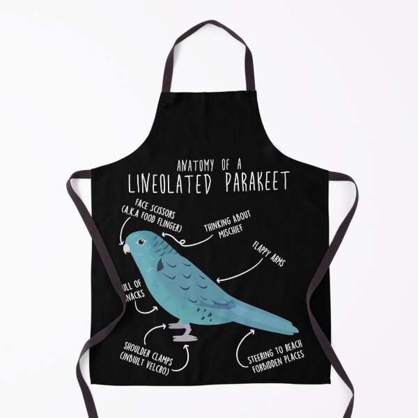 Item preview, Blue Lineolated Parakeet Turquoise Parrot Anatomy designed and sold by Clara Hollins.