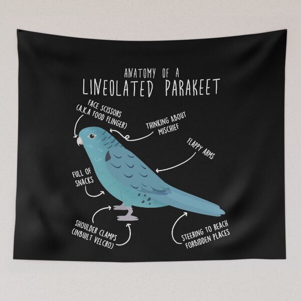 Item preview, Blue Lineolated Parakeet Turquoise Parrot Anatomy designed and sold by Clara Hollins.