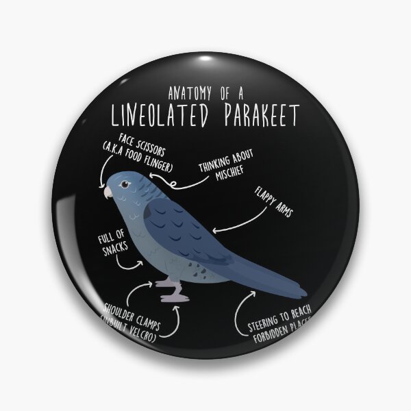 Item preview, Cobalt Lineolated Parakeet Parrot Anatomy designed and sold by Clara Hollins.