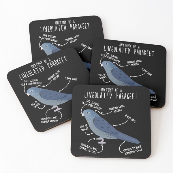 Item preview, Cobalt Lineolated Parakeet Parrot Anatomy designed and sold by Clara Hollins.