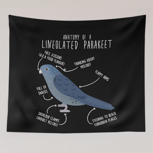 Item preview, Cobalt Lineolated Parakeet Parrot Anatomy designed and sold by Clara Hollins.